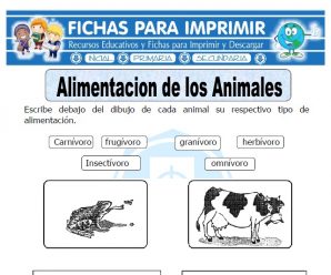 Ficha de Alimentación de los Animales para Primaria
