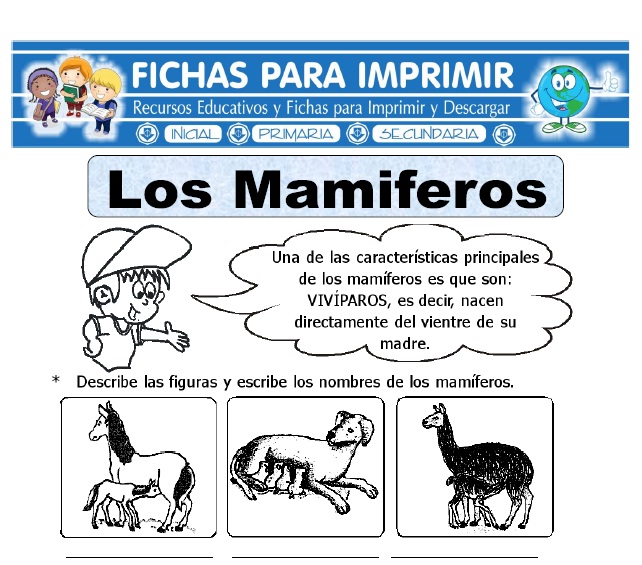  Ficha de Los Animales Mamíferos para Primaria