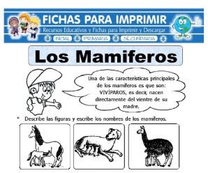 Ficha de Los Animales Mamíferos para Primaria
