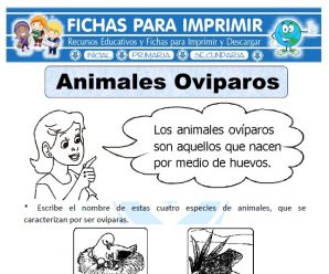 Ficha de Animales Ovíparos para Primaria