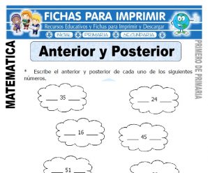 Ejercicios de Anterior y Posterior para Primaria