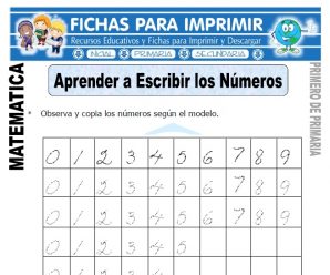 Aprendiendo a Escribir Números para Primaria