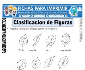 Clasificación de Figuras para Primero de Primaria