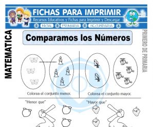 Comparamos los Números para Primero de Primaria