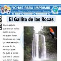 Ficha de El Gallito de las Rocas para Primaria