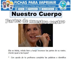 Ficha de Nuestro Cuerpo para Primero de Primaria