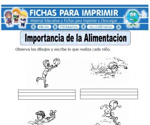 Ficha de Importancia de la Alimentación Primaria