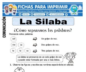 Ficha de La Silaba para Primero de Primaria