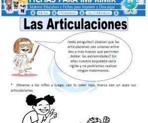 Ficha de Las Articulaciones para Primaria