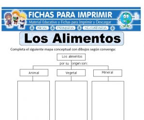 Ficha de Los Alimentos para Primaria