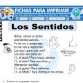Ficha de Los Sentidos para Primaria