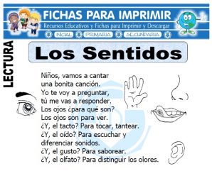 Ficha de Los Sentidos para Primaria