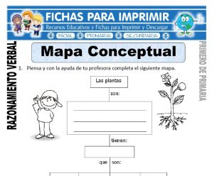 Mapa Conceptual para Primero de Primaria