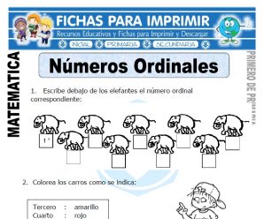 Numeros Ordinales para Primero de Primaria