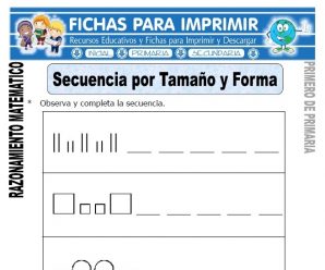 Secuencia por Tamaño y Forma para Primaria