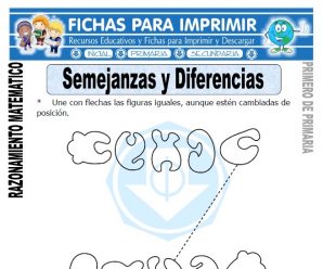 Semejanzas y Diferencias para Primero de Primaria