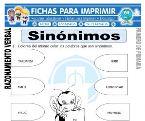 Sinónimos para Primero de Primaria