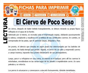 El Siervo de Poco Seso para Segundo de Primaria