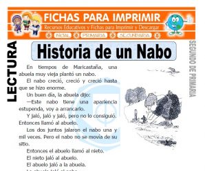 Historia de un Nabo para Segundo de Primaria