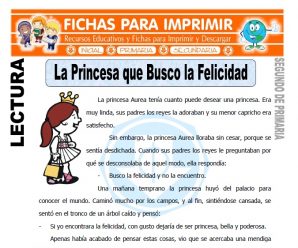 La Princesa que Busco la Felicidad para Segundo de Primaria
