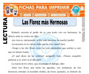 Las Flores más Hermosas para Segundo de Primaria