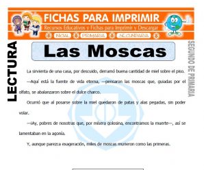 Las Moscas para Segundo de Primaria
