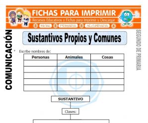 Sustantivos Propios y Comunes Segundo de Primaria