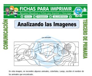 Analisis de Imagen para Tercero de Primaria