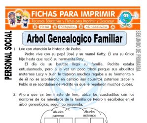 Árbol Genealógico Familiar para Segundo de Primaria