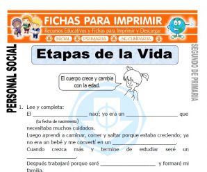 Etapas de la Vida para Segundo de Primaria