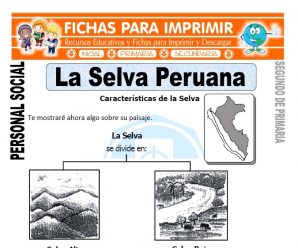 La Selva Peruana para Segundo de Primaria