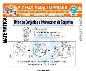 Unión de Conjuntos para Segundo de Primaria