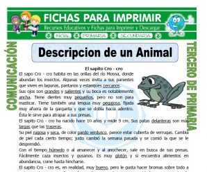 Descripcion de un Animal para Tercero de Primaria