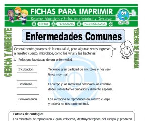 Enfermedades Comunes para Tercero de Primaria