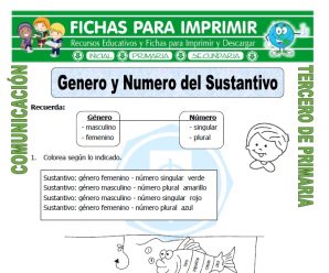 Genero del Sustantivo para Tercero de Primaria