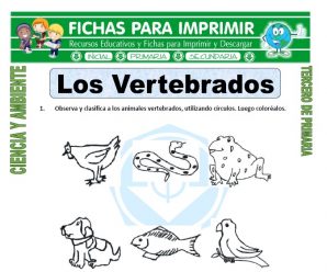 Los Vertebrados para Tercero de Primaria