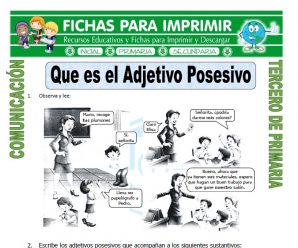 Que es Adjetivo Posesivo para Tercero de Primaria