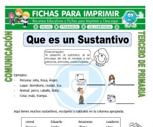 Que es un Sustantivo para Tercero de Primaria