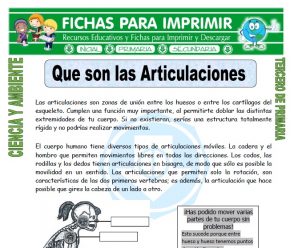 Que son las Articulaciones para Tercero de Primaria