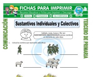 Sustantivos Individuales y Colectivos para Tercero de Primaria