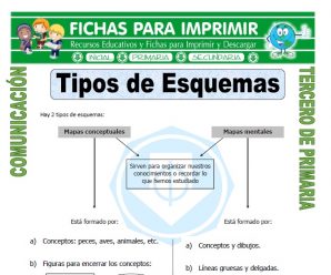 Tipos de Esquemas para Tercero de Primaria