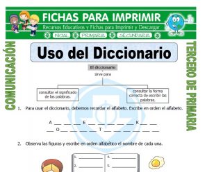 Uso del Diccionario para Tercero de Primaria