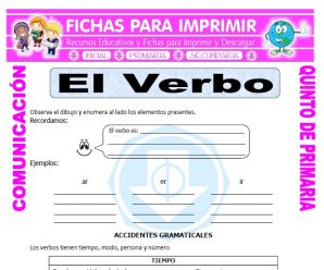 Accidentes Gramaticales del Verbo para Quinto de Primaria
