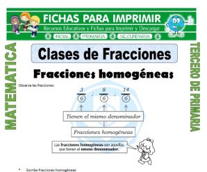 Clases de Fracciones para Tercero de Primaria