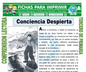 Conciencia Despierta para Tercero de Primaria