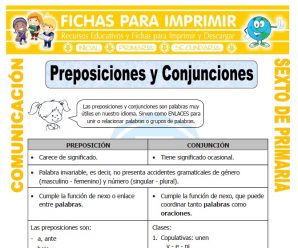 Ejemplos de Preposiciones para Sexto de Primaria