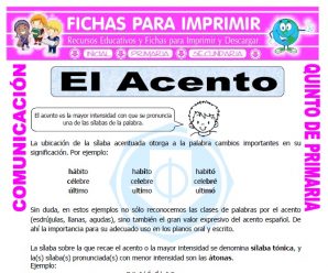 El Acento para Quinto de Primaria