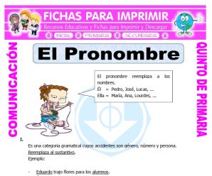 El Pronombre para Quinto de Primaria
