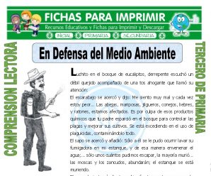 En Defensa del Medio Ambiente para Tercero de Primaria