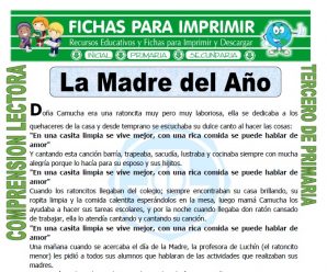 La Madre del Año para Tercero de Primaria